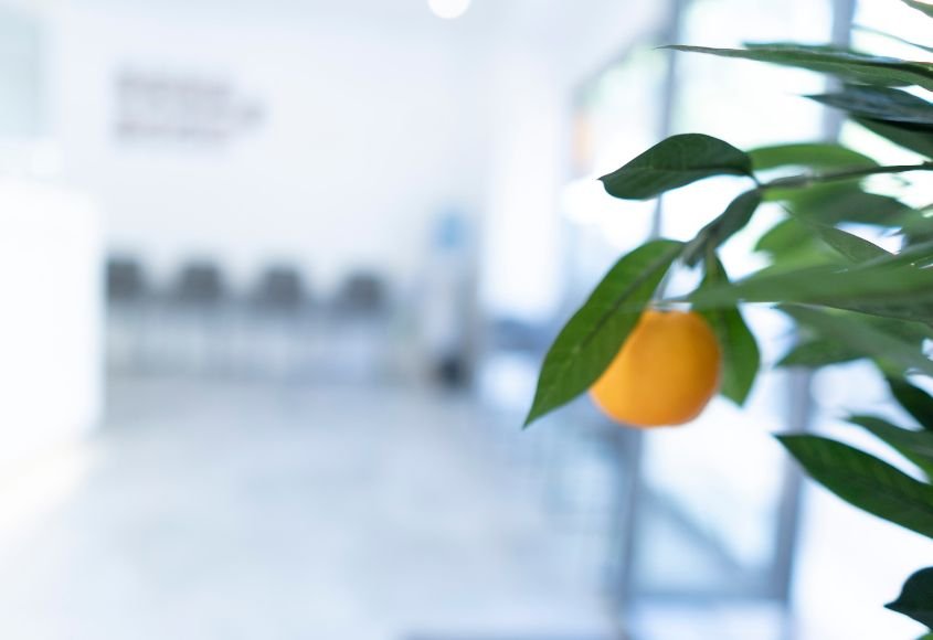 Excelentia-dental-ciudad-lineal-instalaciones