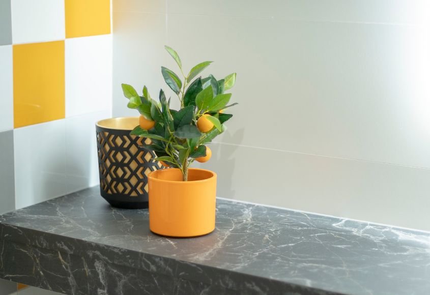 Excelentia-dental-ciudad-lineal-instalaciones